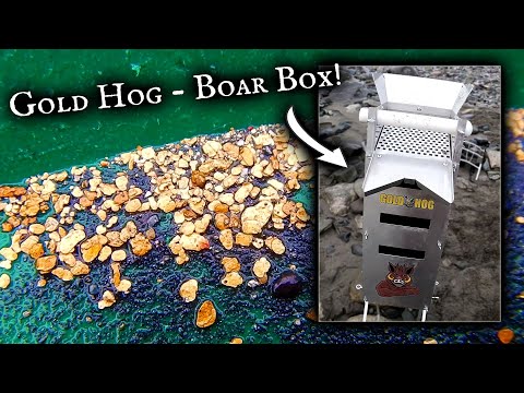 Boar Box – GoldHog